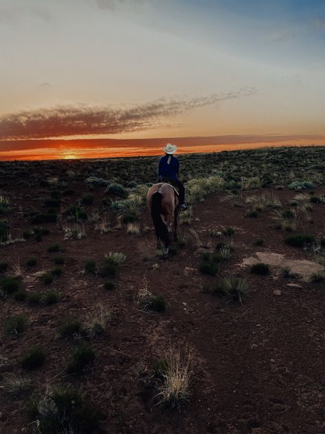 Bronc Riding Aesthetic, Rodeo Life Country Living, Rodeo Asethic Photos, Cowboy Pics, Horse Lifestyle, Wild West Horse Aesthetic, Horseback Riding Western, Horse Back Riding Aesthetic Western, Western Quotes