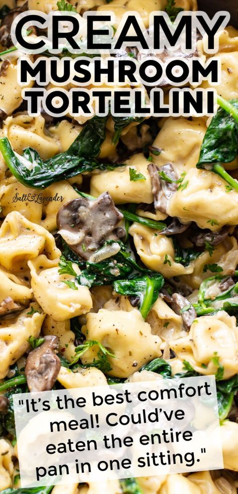 Dinner is made easy with this one pan creamy tortellini recipe! It's loaded with juicy mushrooms and spinach in a garlic cream sauce, and there's hardly any cleanup! One Pot Tortellini Recipes, Chicken With Tortellini, Chicken Sausage Tortellini Recipes, Spinach And Tortellini, Sausage Stuffed Tortellini Recipes, Tortellini Mushroom Soup, Tortellini Recipes Vegetarian, Tortellini Meal Prep, Mushroom Spinach