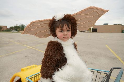 Gizmo Costume, Gremlins Stripe, Gizmo Gremlins, Halloween Costumes For Family, Family Costumes, Family Halloween Costumes, Costume Cosplay, Family Halloween, Baby Costumes