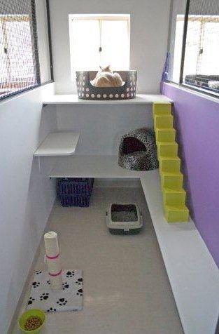 this would be the perfect cat haven for Kairi, it needs more toys though Cattery Ideas, Cat Rooms, Cat Habitat, Diy Chat, Katt Grejer, Cat Kennel, Doggy Daycare, Cat Hotel, Cat House Diy