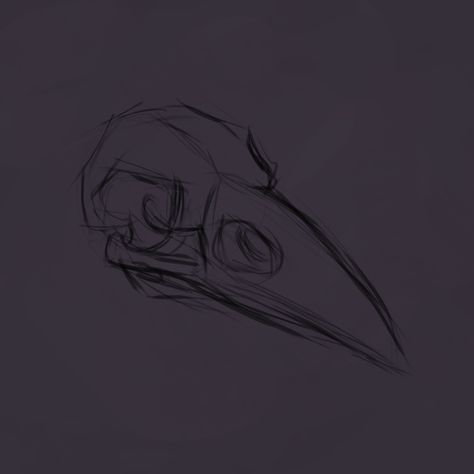 Here is my digital drawing of raven skull. Raven Skull Sketch, Raven Skull Reference, Bird Bones Drawing, How To Draw A Raven, Cute Raven Drawing, Raven Skull Drawing, Bird Skull Drawing, Raven Vector, Raven Sketch