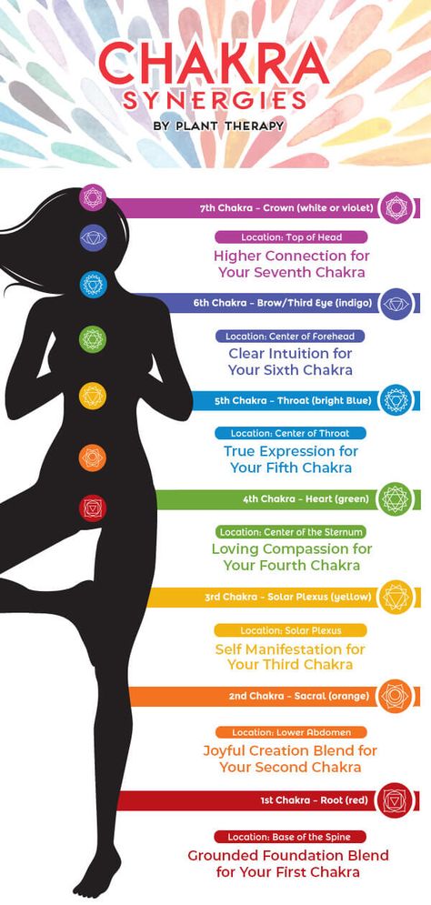 The Solar Plexus Chakra: Self Manifestation - Naturally Blended Self Manifestation, 3rd Chakra, Ascending Order, Subtle Energy, The Solar Plexus Chakra, The Throat Chakra, 2nd Chakra, Second Chakra, Energy Centers