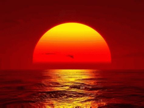 Sunshine Sunset GIF - Sunshine Sunset - Discover & Share GIFs Sunset Animated, Sun Gif, Sunset Gif, Phone Gif, Russian Dogs, Loop Gif, Gif Background, Discord Banner, Hodge Podge