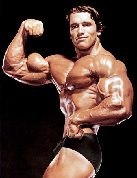 Arnold Schwarzenegger Arnold Schwarzenegger Body, Arnold Bodybuilding, Arnold Photos, Arnold Schwarzenegger Movies, Arnold Schwarzenegger Bodybuilding, Schwarzenegger Bodybuilding, Bodybuilding Pictures, Big Biceps, Mr Olympia