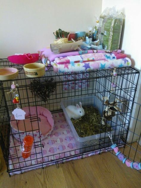 Diy Bunny Cage, Rabbit Houses, Diy Rabbit Cage, Indoor Rabbit Cage, Diy Rabbit Hutch, Small Dog Crate, House Bunny, Pet Rabbit Care, Flooring Diy