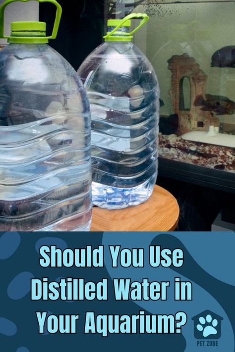 Find out if using distilled water in your #aquarium is the best #water source for your #fish tank. Learn how to properly use distilled water. via @petzoneblog Large Fish Tanks, Slow Changes, Fresh Water Fish Tank, Water Source, Reverse Osmosis Water, Saltwater Tank, Water Party, Best Water, Water Sources