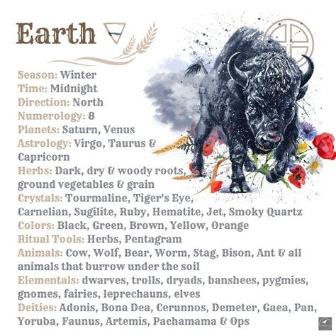 Introduction Of Myself, Venus Astrology, Earth Seasons, 8 Planets, Water Spring, Fall Or Autumn, Earth Air Fire Water, White Raven, Second Guessing