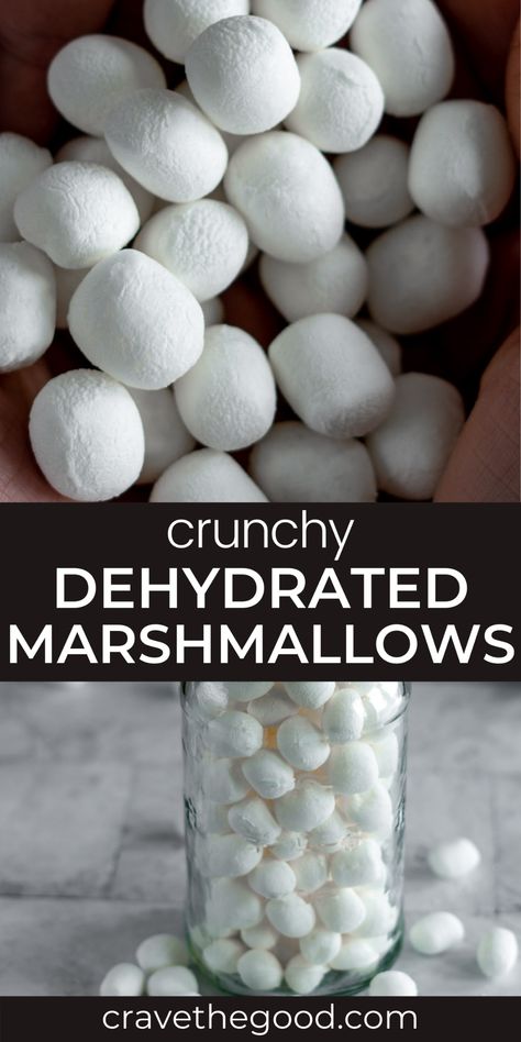 How To Make Dehydrated Marshmallows, Dehydrated Marshmallows In Oven, Dehydrating Marshmallows In Dehydrator, How To Dehydrate Marshmallows, Dehydrate Marshmallows, Dehydrator Jerky, Dehydrated Snacks, Dehydrated Marshmallows, Dehydrating Recipes