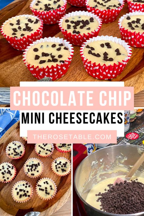 Mini Chocolate Chip Cheesecake Recipes, Chocolate Chip Cheesecake Bites, Mini Chocolate Chip Cheesecakes, Chocolate Mini Cheesecakes, Mini Chocolate Chip Recipes, Mini Chocolate Cheesecakes, Mini Chocolate Chips Recipes, Mini No Bake Cheesecake, Chocolate Cheesecake Bites