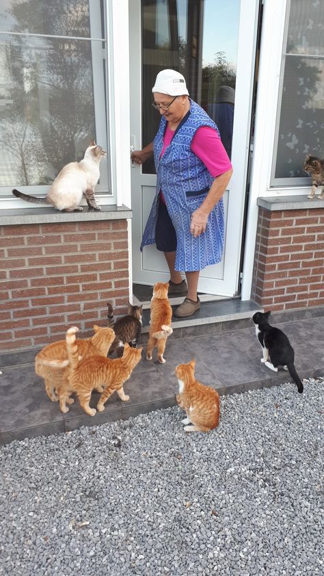 My grandma the real cat lady. :) Old Cat Lady Aesthetic, Old Cat Lady, Cat Grandma, Fake Family, Real Cat, Bff Hands Aesthetic, Lady Cat, Lots Of Cats, Dog Lady