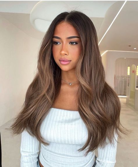 Light Brown Balayage Brunettes, Dark Roots To Light Brown Hair, Dark Lived In Hair, Best Hair Color For Cool Toned Skin, Brown Hair Color For Pale Skin, Light Hair Dye Ideas, Honey Brown Babylights, Haircolor Ideas For Brown Skin Tone, Warm Ashy Brown Hair