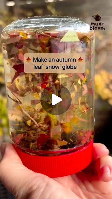 Autumn Leaf Snow Globe, Leaf Eyfs Activities, Season Changes Preschool Activities, Outdoor Autumn Activities Eyfs, Autumn Provocations, Autumn Activities For Babies, Kindergarten Autumn Activities, Autumn Eyfs Activities, Wednesday Ideas