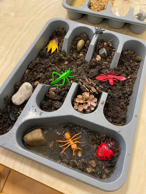 Minibeasts Activities, Preschool Stations, Provocations Reggio, Preschool Displays, Bug Activities, Insect Unit, Insects Preschool, Bugs Preschool, Reggio Inspired Classrooms