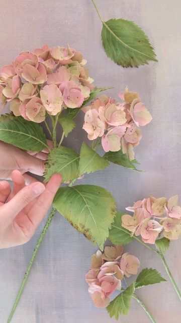 Paper Hydrangea, Cafe Au Lait Dahlias, Paper Botanicals, Crepe Paper Flowers Tutorial, Crepe Paper Flowers Diy, Crepe Paper Roses, Diy Fleur, Paper Dahlia, Handmade Flowers Fabric