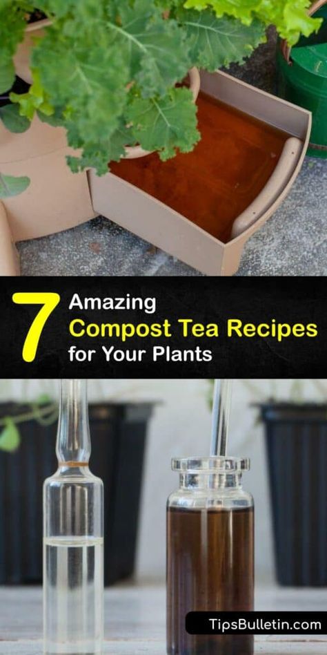 Homemade Compost Tea - Fantastic Recipes for Liquid Compost Compost Tea Recipe, Compost Tea Brewer, Homemade Compost, Nitrogen Fixing Plants, Covered Backyard, Tea Supplies, How To Make Compost, Vegetable Benefits, Humic Acid