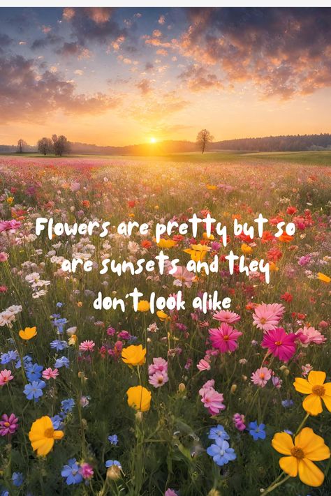 flowers | sunsets | beauty | selflove | Flowers Are Pretty But So Are Sunsets Quote, Dear Self Quotes, Dear Self, Sunset Quotes, Flower Quotes, Self Quotes, You Are Beautiful, Look Alike, Beautiful Quotes