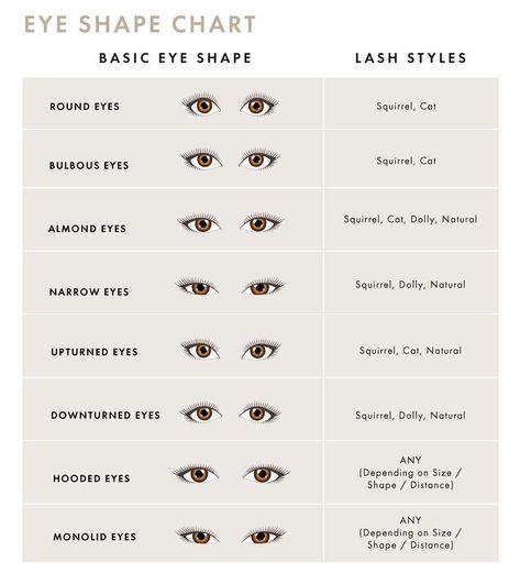 Eye shape chart for eyelash extensions Style Of Lash Extensions, Eyelash Shape Chart, Eyelash Extensions Size Chart, Lash Extensions Shapes, Lashes For Eye Shapes, Eye Shape And Lash Extension, Eye Shapes And Lash Extensions, Lash Map Eye Shape, Eye Shape Makeup Chart