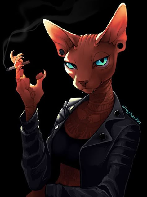 Anthro Cat, Girl With Tattoos, Sphinx Cat, Cat Character, Sphynx Cat, Sphynx, Warrior Cats, Dnd Characters, Cat Drawing