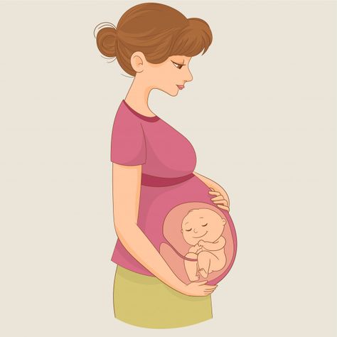 Mom with baby in womb Premium Vector | Premium Vector #Freepik #vector #baby #woman #girl #mother Pregnant Animation, Baby In Womb Art, Pregnancy Cartoon, Pregnant Cartoon, Baby In Womb, Pregnancy Women, Birth Art, Pregnancy Art, A Pregnant Woman