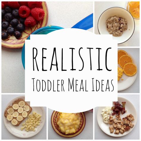 Need Some Ideas For Your Cutie?Realistic Toddler Meal Ideas Fancy Meal Ideas, Meal Ideas For Toddlers, Toddler Meal Ideas, Meals Breakfast, Easy Toddler Meals, Toddler Lunches, Healthy Toddler Meals, Balanced Nutrition, Easy Toddler