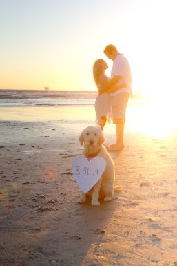 sunset shoot with Penny! Prenup With Dogs Cute Ideas, Save The Date Dog, Engagement Photoshoot Ideas Beach With Dog, Couple Beach Pictures With Dogs, Beach Save The Date Photos, Couple And Dog Photoshoot Beach, Save The Date Beach Pictures, Beach Wedding Pics, Engagement Pictures Beach