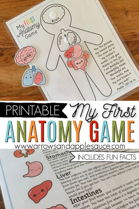 Learning about the human anotomy is fun and easy for kids with My First Anatomy game. Identify, match, and learn! We are fearfully and wonderfully made! #aboutme  #anatomygame #preschoolscience #homeschoolprintables #humananatomy #busybindergame #filefoldergame #preschoolathome #kindergartenprintables #anatomyactivities #educationalprintables #fearfullyandwonderfullymade #kidsgames #homeschoolcurriculum Human Body First Grade, Anatomy Games, Anatomy For Kids, Printable Matching Game, Human Body Activities, Human Body Unit, Kindergarten Printables, Fearfully And Wonderfully Made, Homeschool Printables