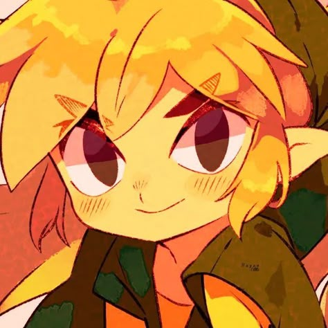 Loz Matching Icons, Matching Legend Of Zelda Pfps, Mipha And Link Matching Icons, Legend Of Zelda Matching Icons, Tloz Matching Pfp, Legend Of Zelda Link Pfp, Link Pfp Aesthetic, Link X Sidon Matching Icons, Loz Matching Pfps