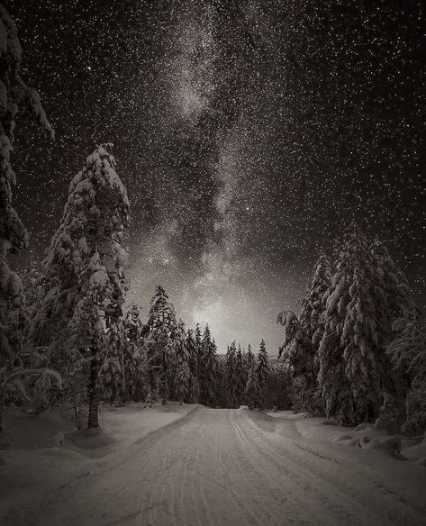 Black And White Snow Photography, Black And White Snow Aesthetic, Snow Dark Aesthetic, Black Winter Aesthetic, Snow Aesthetic Dark, Snow Storm Aesthetic, Dark Snow Aesthetic, Winter Widgets, Snow At Night