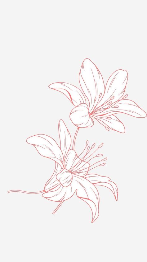 Lillie’s Tattoo, Fine Line Lily Tattoo, Amaryllis Tattoo, Lilly Tattoo Design, Lilly Flower Tattoo, Tiger Lily Tattoos, Red Flower Tattoos, Water Lily Tattoos, Lily Tattoo Design