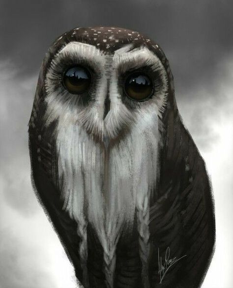 So beautiful Owl Photos, Owl Pictures, Beautiful Owl, Owl Tattoo, Owl Bird, Owl Art, Art Masters, Barn Owl, Cute Owl