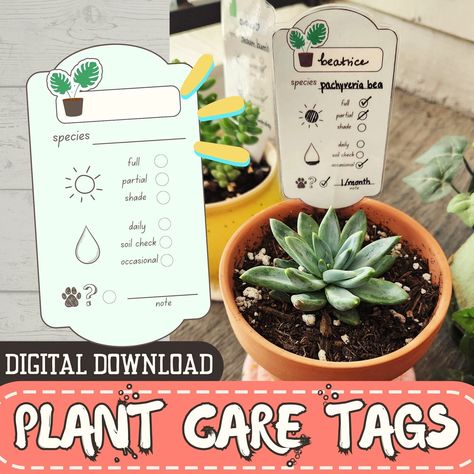 Printable Plant Care Tags, 6 Designs, Fillable Plant Instruction Labels, Plant Lover Gift Ideas, DIGITAL DOWNLOAD - Etsy Plant Care Tags, Housewarming Gift Ideas, Plant Tags, Plant Labels, Indoor Herb Garden, Herbs Indoors, Plant Lover Gift, Diy Crafts For Gifts, Care Tag