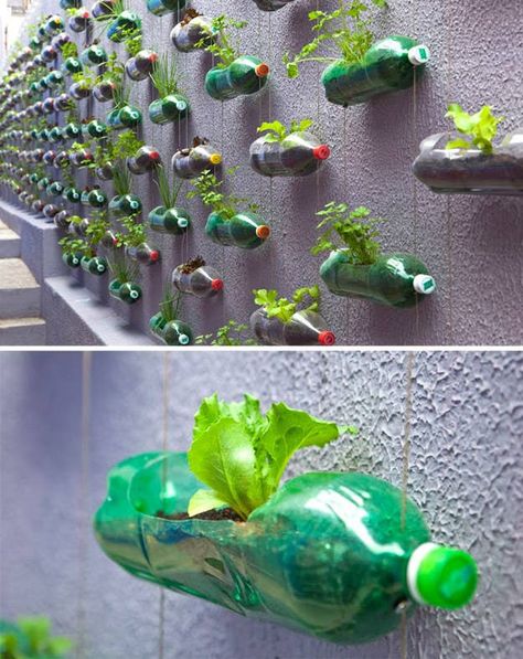 15 Creative Ways To Reuse Plastic Bottles Uses For Plastic Bottles, Empty Plastic Bottles, Reuse Plastic Bottles, Plastic Bottle Flowers, Plastic Recycling, Recycled Art Projects, Recycled Garden, Pet Plastic Bottles, Bottle Garden