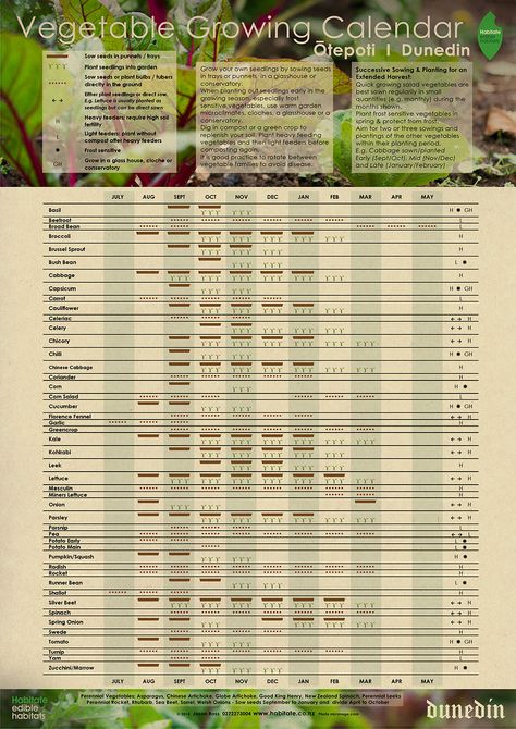 Vegetable Calendar, Growing Calendar, Dunedin New Zealand, Planting Calendar, Plant Seedlings, Business Studies, Light Of Life, Traffic Light, Planting Bulbs