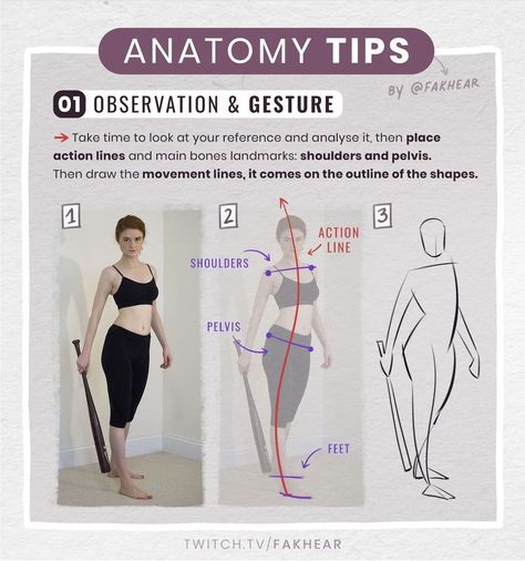 How To Draw Anatomy, Anatomy Tips, Draw Anatomy, Human Anatomy Drawing, Drawing Examples, Art Basics, Human Anatomy Art, Anatomy Sketches, Anatomy For Artists