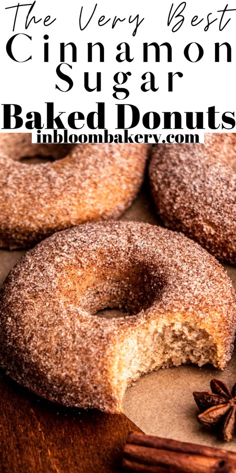 These are the best cinnamon sugar donuts! They're super moist, full of cinnamon flavor and rolled in a cinnamon-sugar mixture! These delicious donuts will be your new favorite recipe! Cinnamon Sugar Donut Recipe, In Bloom Bakery, Bloom Bakery, Doughnut Recipes, Christmas Trifle, Apple Cider Donuts Baked, Baked Donut, Homemade Donuts Recipe, Homemade Doughnuts