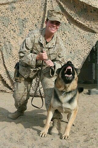 Marine Coporal Megan Leavey & Sergant Rex, saved many lives during her deployment in Iraq. Over the course of their service completed more than 100 missions, In 2006 an explosive land mine injured them both and received Purple Hearts. Megan Leavey, Marine Dog, Drill Instructor, Improvised Explosive Device, Military Working Dogs, Desert Road, Camp Pendleton, Military Records, Hot Desert