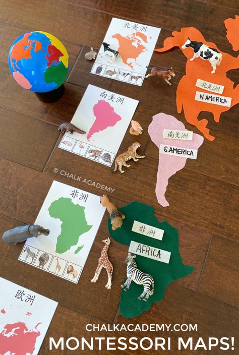 My Country Kindergarten Activities, Montessori Animals, Continents Activities, Easy Learning Activities, World Animal Day, Country Study, Around The World Theme, Montessori Geography, Geography For Kids