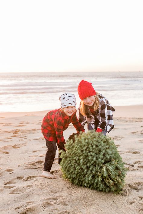 Christmas Beach Photoshoot, Beach Christmas Card Photo, Christmas Beach Photos, Beach Christmas Pictures, Mood Photoshoot, Beach Christmas Card, Xmas Pics, New England Christmas, Christmas Session