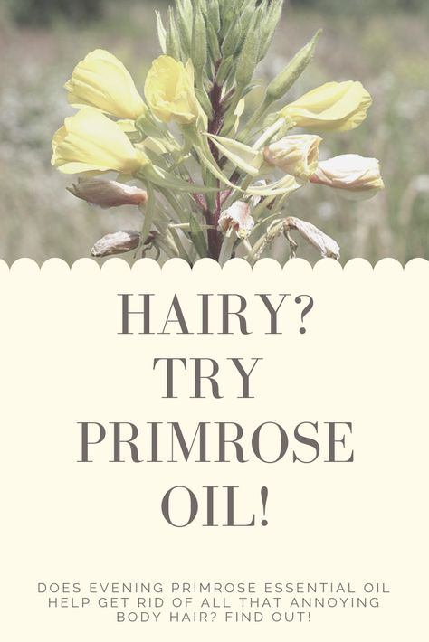 Evening Primrose Oil Benefits Woman, Evening Primrose Oil Benefits, Balancing Hormones, Balance Hormones, Excess Hair, Essential Oils For Hair, Primrose Oil, Acne Spots, Evening Primrose Oil