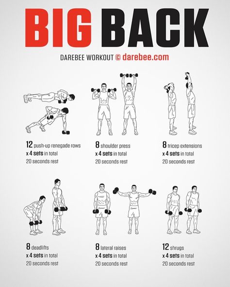 Big Back Workout, Dumbbell Workout Plan, Workout Gym Routine, Workout Program Gym, Bodybuilding Workouts Routines, Gym Workout Planner, Full Body Workout Routine, Bodybuilding Workout Plan, Gym Workout Chart