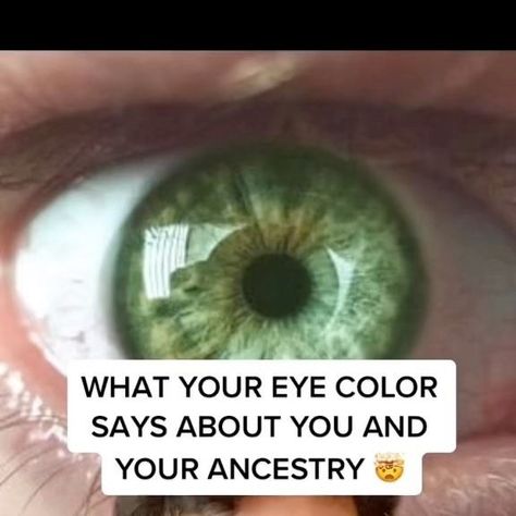 David Profit on Instagram: "What your eye color says about you and your ancestry!! Pt 4 GREEN EYES" Shades Of Green Eyes, Forest Green Eyes, Green Eyes Facts, Eyes Facts, Green Hazel Eyes, Green Eyes Aesthetic, Natural Green Eyes, Grey Green Eyes, People With Green Eyes