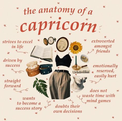 Niche Png, Astrology Humor, Capricorn Compatibility, Capricorn Astrology, Capricorn Aesthetic, Astrology Capricorn, Capricorn Girl, Capricorn Love, Capricorn Life