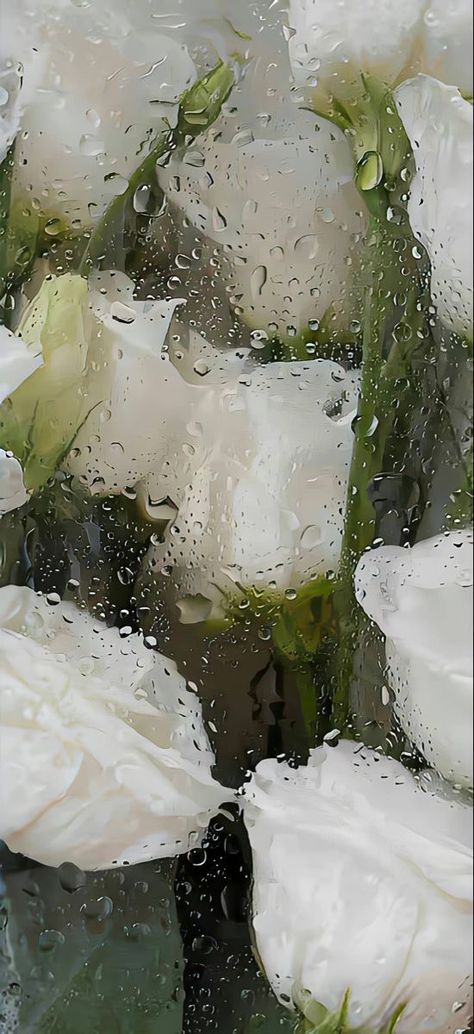 Wet Flowers Wallpaper, Wet Flowers, Rainy Wallpaper, Japanese Wallpaper, Japanese Wallpaper Iphone, Wallpaper Estetika, Rain Wallpapers, Flower Wallpapers, Floral Wallpaper Phone