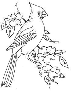 bird and dogwood by love to sew, via Flickr: vintage embroidery designs. THOUSANDS. Ako Kresliť, Bird Coloring, Bird Coloring Pages, Wood Burning Patterns, Embroidery Transfers, Bird Embroidery, Paper Embroidery, Embroidery Patterns Vintage, Animal Coloring