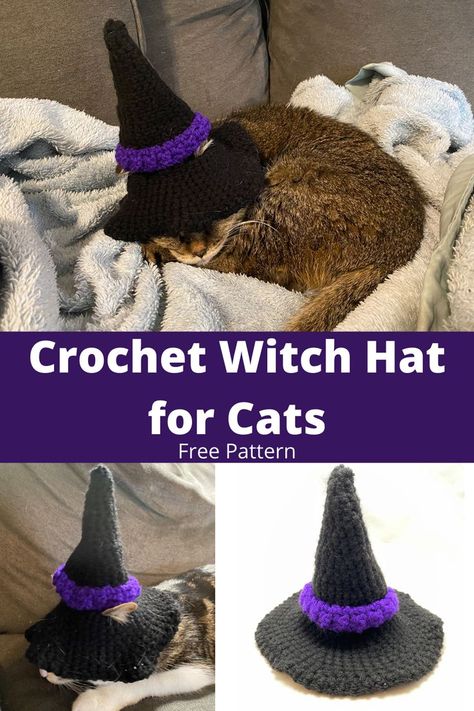 Crochet Wizard Hat For Cat, Crochet Witches Hat For Cat, Free Pet Hat Crochet Pattern, Crochet Cat Witch Hat Pattern, Crochet Cat Wizard Hat Pattern, Witchy Hat Crochet Pattern, Crochet Witch Hat For Cat, Crochet Wizard Hat For Cat Free Pattern, Free Cat Hat Pattern