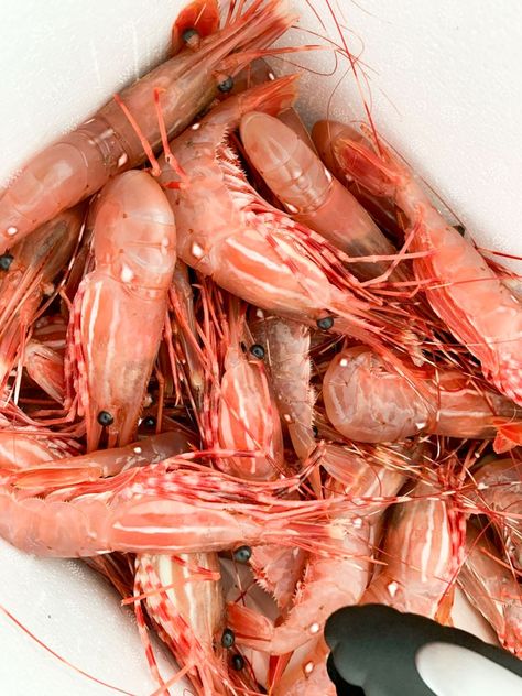 BC Spot Prawns Vancouver 2024: Dates, Where to Buy, Cook Spot Prawn Recipe, Spot Prawns, Prawn Dishes, Prawn Recipes, Chefs Table, Tasting Menu, Professional Chef, How To Cook, Cooking Tips