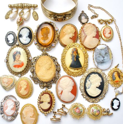 The Jewelry Lady's Store: Vintage Cameo Brooch & Necklace Collection Muebles Shabby Chic, Victorian Brooch, Design Moda, Cameo Jewelry, Necklace Collection, Vintage Cameo, Clay Jewelry Diy, Brooch Necklace, Carved Shell