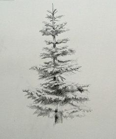 Evergreen Tree Tattoo, Pine Tree Drawing, Landscape Pencil Drawings, Pine Tree Art, Winter Drawings, Pencil Trees, Tree Drawings Pencil, Tree Tattoo Designs, Tree Sketches