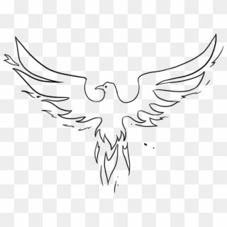 Pheonix Drawing Easy, Phoenix Drawing Simple, Phoenix Drawing, Drawing Simple, Drawing Easy, Guided Drawing, Easy Drawings, Phoenix, Tattoos