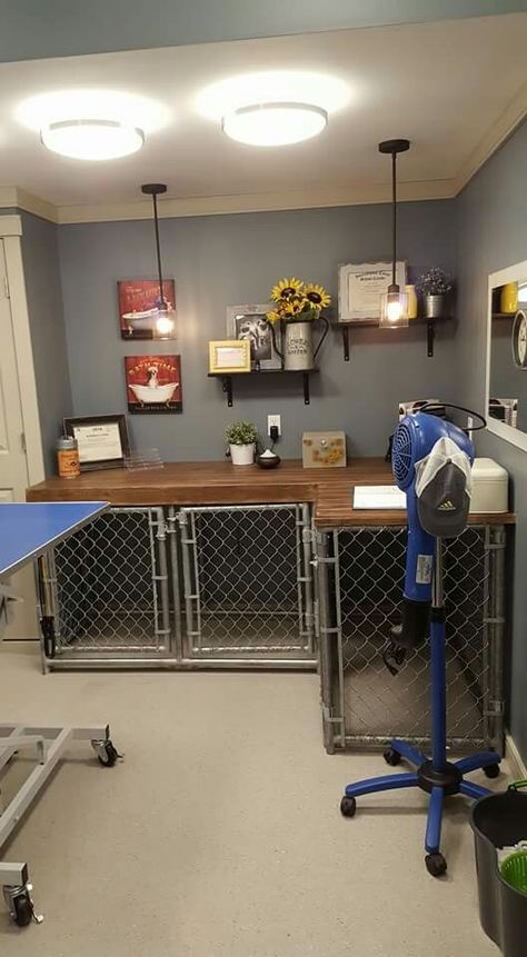 This would be great for the tool bench in the garage Dog Garage Kennel, Dog Grooming Cabin, Dog Kennels In Garage, Tiny Grooming Salon, Garage Dog Grooming Salon, Garage Kennel For Dogs, Garage Grooming Salon, Dog Kennel Bench, Home Dog Grooming Salon Ideas